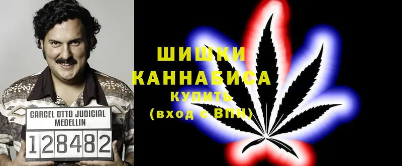 Бошки марихуана THC 21%  блэк спрут зеркало  Кисловодск 